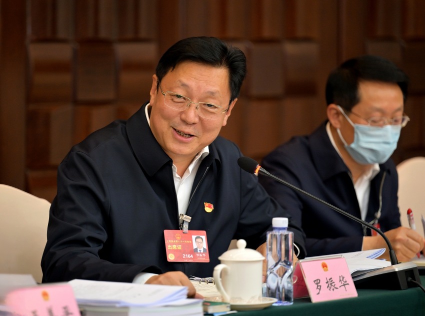 全國(guó)人大代表羅振華。