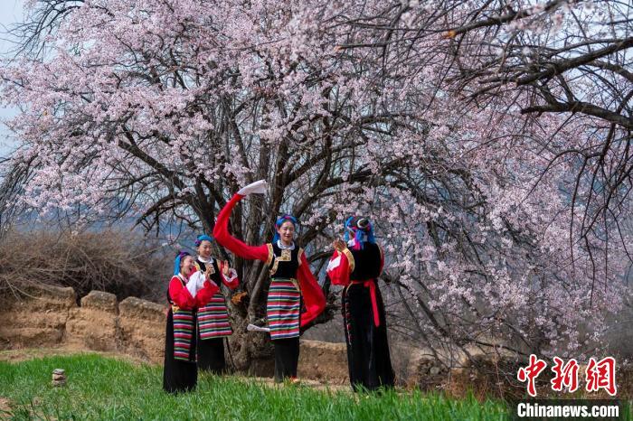 桃花樹(shù)下開(kāi)心玩耍的女孩們。　劉忠俊 攝