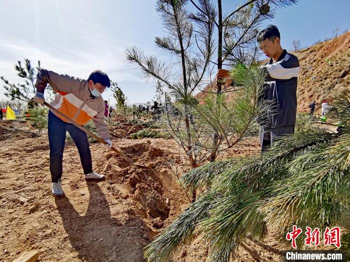 圖為西寧市城東區(qū)義務植樹活動現(xiàn)場?！?zhí)砀?攝