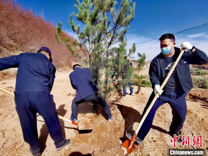 圖為西寧市城東區(qū)義務植樹活動現(xiàn)場?！?zhí)砀?攝