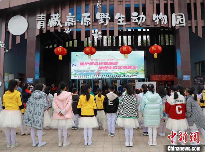 圖為青海省西寧市開展第42屆“愛鳥周”科普宣傳活動(dòng)。　馬銘言 攝