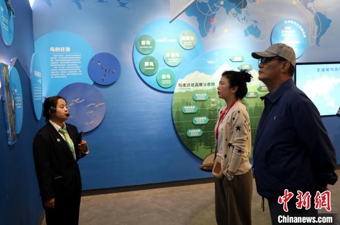 圖為臺商在祁連山國家公園生態(tài)科普館內(nèi)聆聽講解?！⊙Φ?攝
