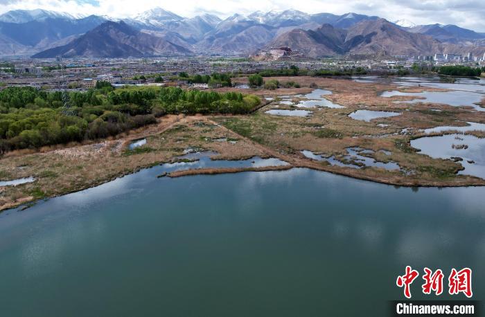 圖為拉薩拉魯濕地。(無人機(jī)照片) 李林 攝