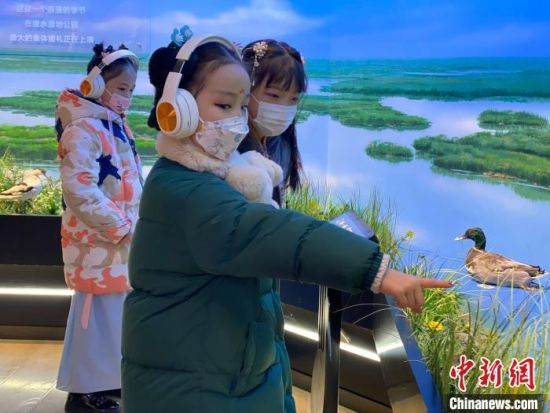 圖為學(xué)生在西寧市第一中學(xué)濕地科普宣教館內(nèi)參觀?！±罱瓕?攝
