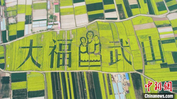 2019年4月，天水武山縣萬(wàn)畝鄉(xiāng)村油菜花海。(資料圖) 何海瑞 攝