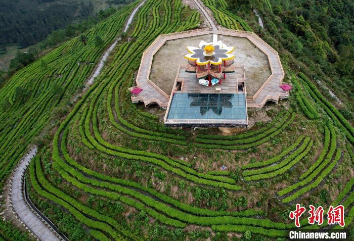圖為西藏林芝市墨脫縣背崩鄉(xiāng)格林村山頂?shù)木坝^茶園。(無人機(jī)照片) 李林 攝