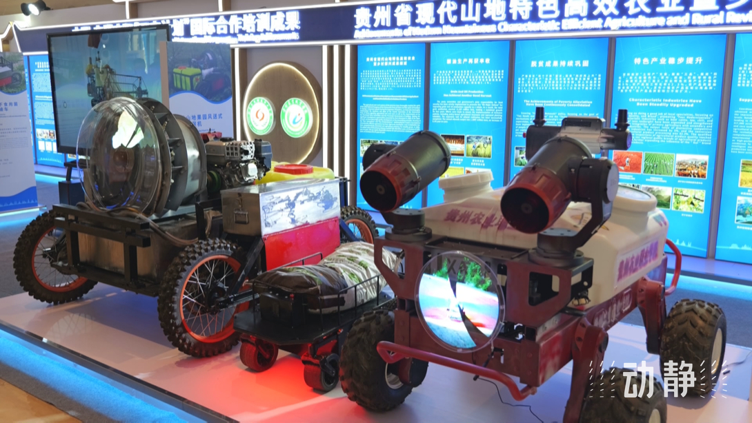 展示成果分享經(jīng)驗(yàn)，中國(guó)—東盟教育交流周深化合作共創(chuàng)未來(lái)！