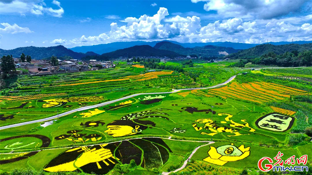云南清水：延伸公共法律服務(wù)觸角，讓普法與民族團(tuán)結(jié)進(jìn)步互促共融