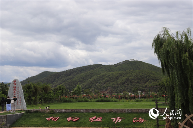 麗江市拉市海景區(qū)。 人民網(wǎng)記者 程浩攝