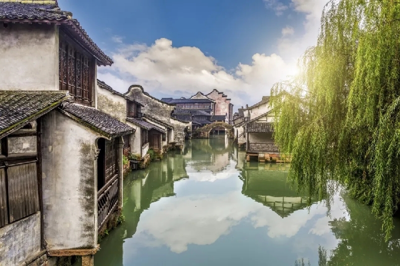 烏鎮(zhèn)動(dòng)觀察｜這個(gè)字，牽起國際交流互鑒之紐帶