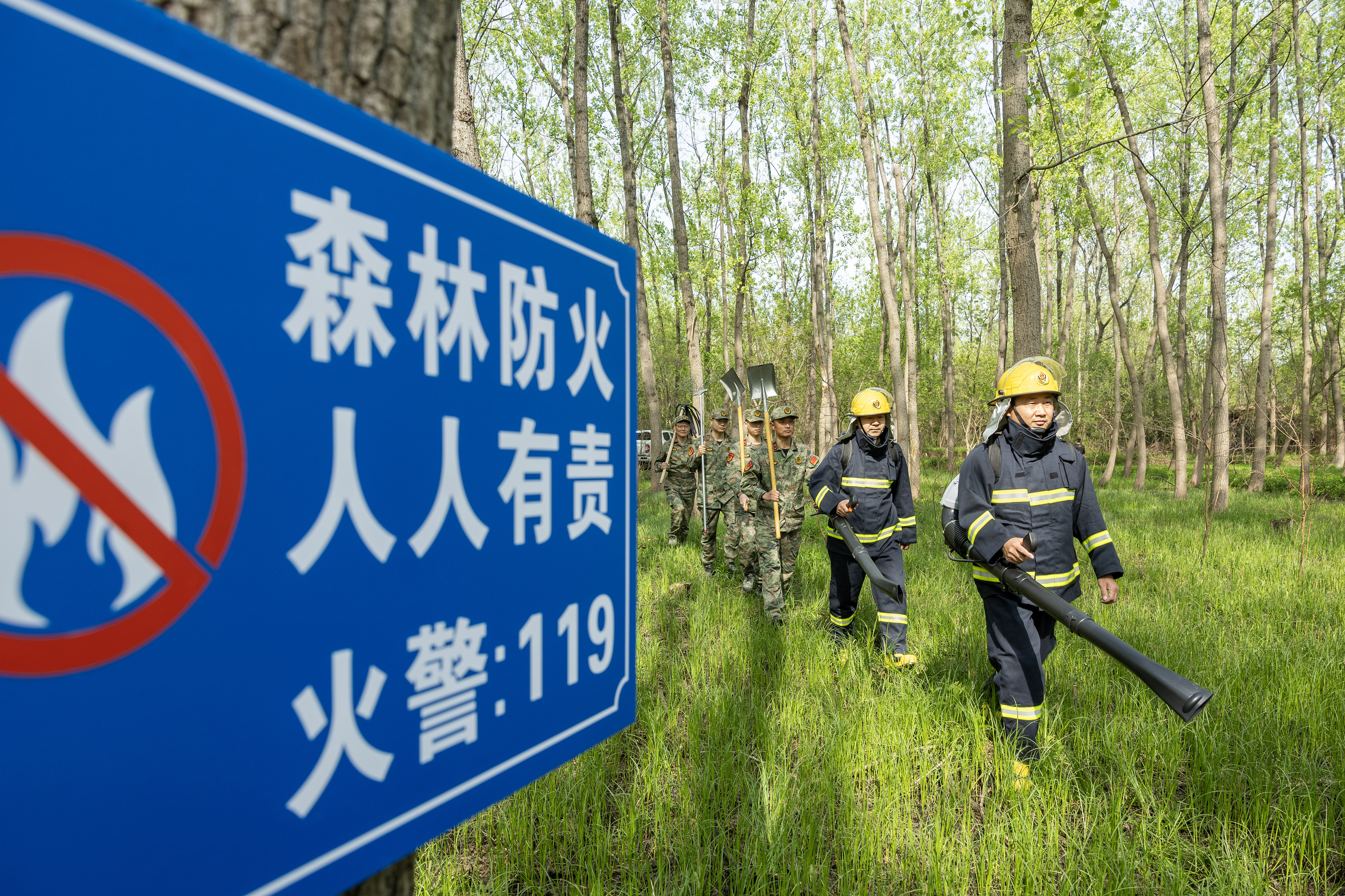2024年4月9日，合肥市大房郢水庫(kù)水源保護(hù)地廬陽(yáng)經(jīng)濟(jì)開(kāi)發(fā)區(qū)段，基干民兵正在林間巡查火災(zāi)隱患。