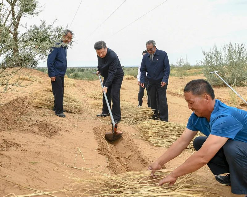 2019年8月21日，習(xí)近平來到甘肅省武威市古浪縣八步沙林場，實地察看當(dāng)?shù)刂紊吃炝帧⑸鷳B(tài)保護(hù)等情況。新華社記者 謝環(huán)馳 攝