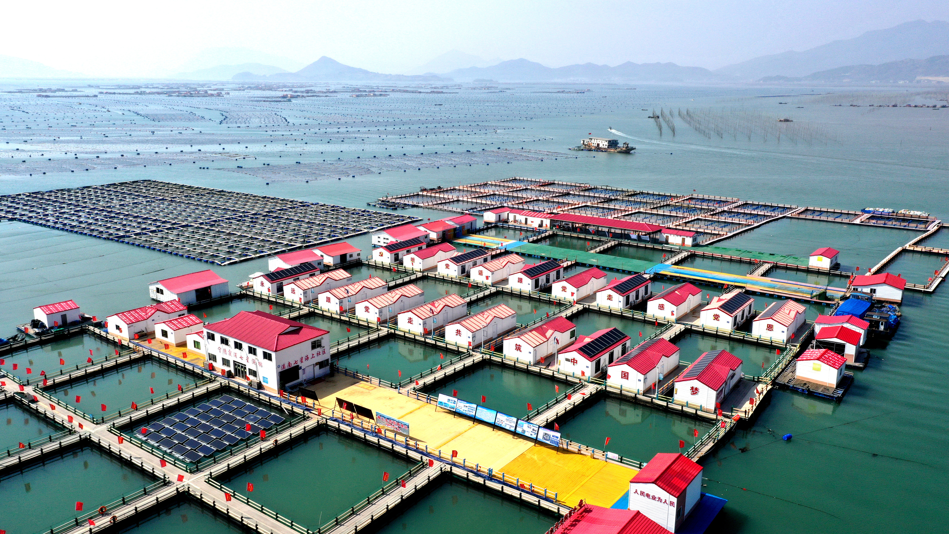 2024年3月20日，福建省寧德市，霞浦縣溪南鎮(zhèn)七星村漁排養(yǎng)殖示范區(qū)，漁民駕駛養(yǎng)殖船進(jìn)行海參養(yǎng)殖作業(yè)。