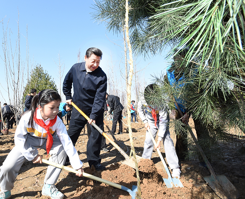 2015年4月3日，習(xí)近平總書記同大家一起植樹。