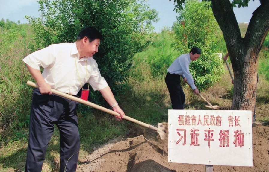 2001年10月，習近平在龍巖市長汀縣調研水土流失治理工作，在河田世紀生態(tài)園為樹培土。圖源：《習近平在福建（下）》