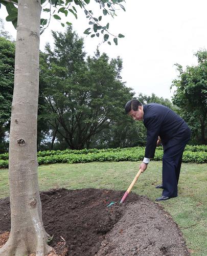 2012年12月7日至11日，習(xí)近平在廣東省考察工作。這是8日上午，習(xí)近平在深圳蓮花山公園種下一棵高山榕樹。新華社記者 蘭紅光 攝