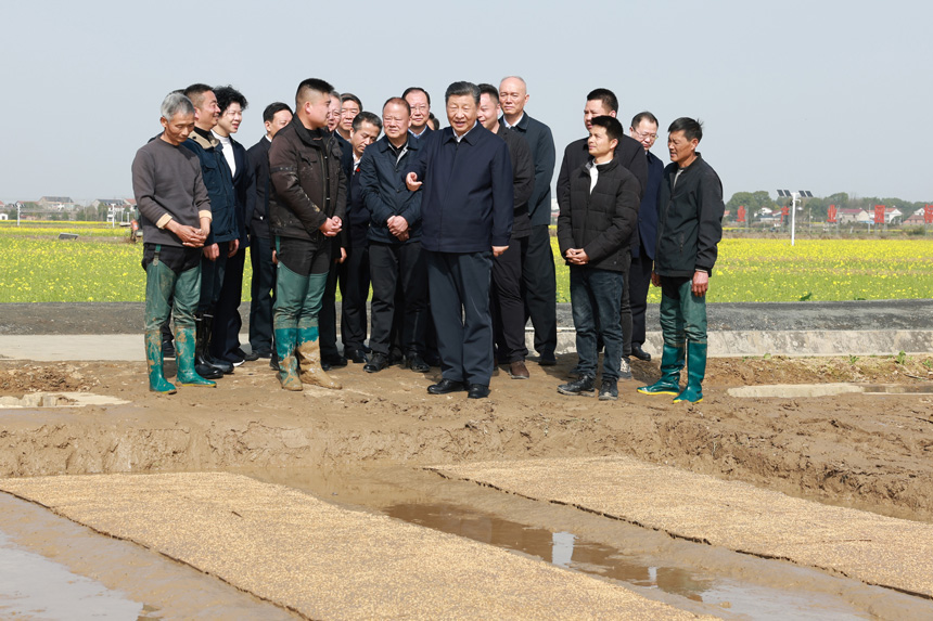 2024年3月18日至21日，中共中央總書記、國家主席、中央軍委主席習(xí)近平在湖南考察。這是19日下午，習(xí)近平在常德市鼎城區(qū)謝家鋪鎮(zhèn)港中坪村走進(jìn)田間，察看秧苗培育和春耕備耕進(jìn)展。新華社記者 王曄 攝
