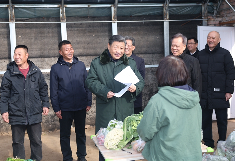 2024年2月1日，習(xí)近平總書記在天津市西青區(qū)辛口鎮(zhèn)第六埠村，走進大棚同菜農(nóng)親切交流。