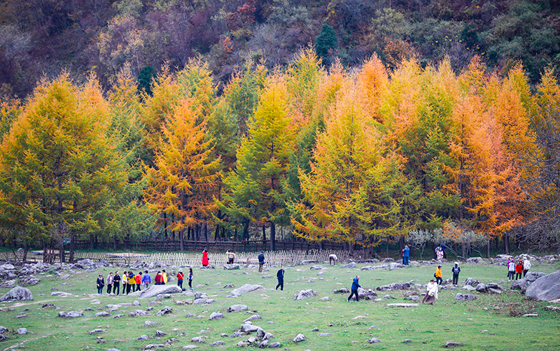 2023年10月27日，深秋時(shí)節(jié)的陜西秦嶺太子嶺漫山紅黃、色彩交織，進(jìn)入最佳觀賞期。