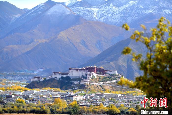 10月24日，雪山、布達(dá)拉宮和秋色組成“風(fēng)景畫(huà)”?！〗w波 攝