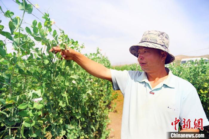 當?shù)鼐用駨埡Ａ衷谧约彝愣固锢锊烧?。　高?攝
