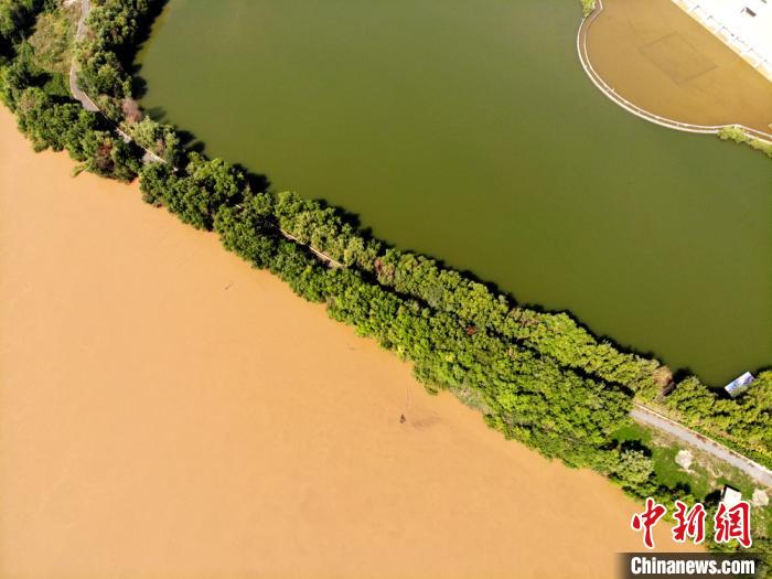 圖為2020年9月3日航拍黃河蘭州段濕地公園現(xiàn)黃河“鴛鴦鍋”。(資料圖) 高瑩 攝