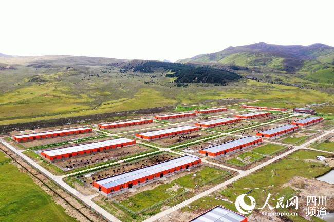建設(shè)中的理塘縣牦牛產(chǎn)業(yè)園。葉強平攝