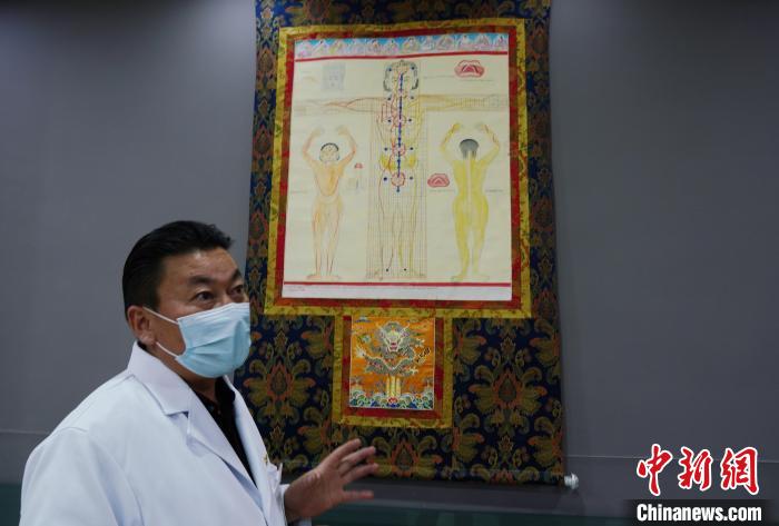 圖為興?？h藏醫(yī)院院長(zhǎng)介紹藏醫(yī)四部醫(yī)典詳實(shí)圖。　馬銘言 攝
