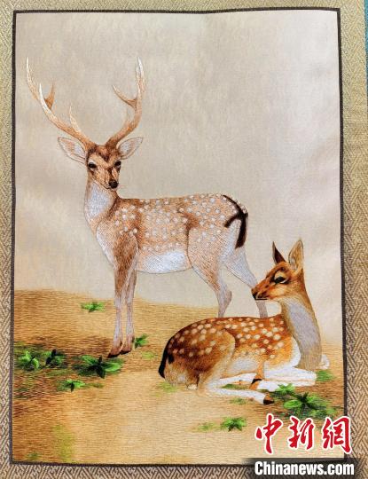 圖為藏繡作品?！∑钤鲚?攝