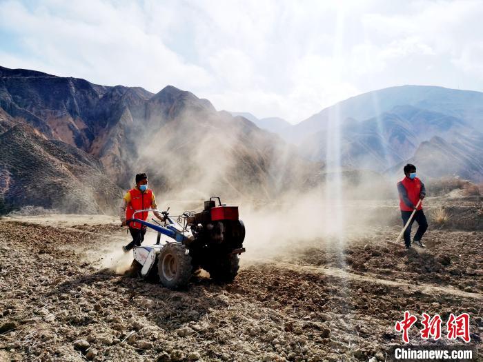 圖為拖拉機(jī)在山地犁地。　張?zhí)砀?攝