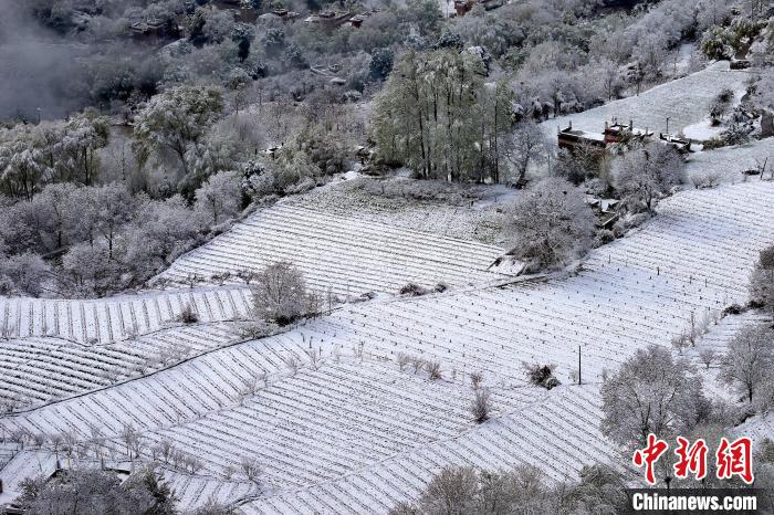 雪后的高山田間如畫?！±钣腊?攝