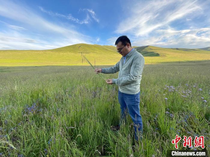 青海達(dá)日“援青縣長(zhǎng)”：雪域高原生態(tài)、民生“并蒂花開”