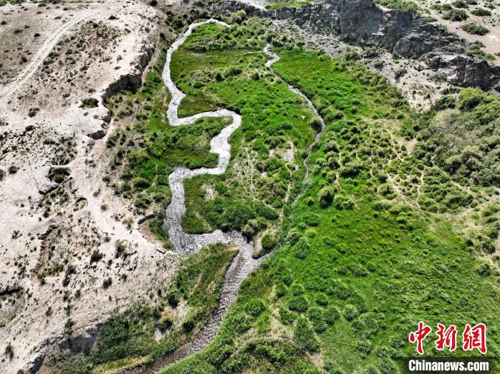 圖為航拍都蘭湖國(guó)家濕地公園綠意盎然?！∑钤鲚?攝