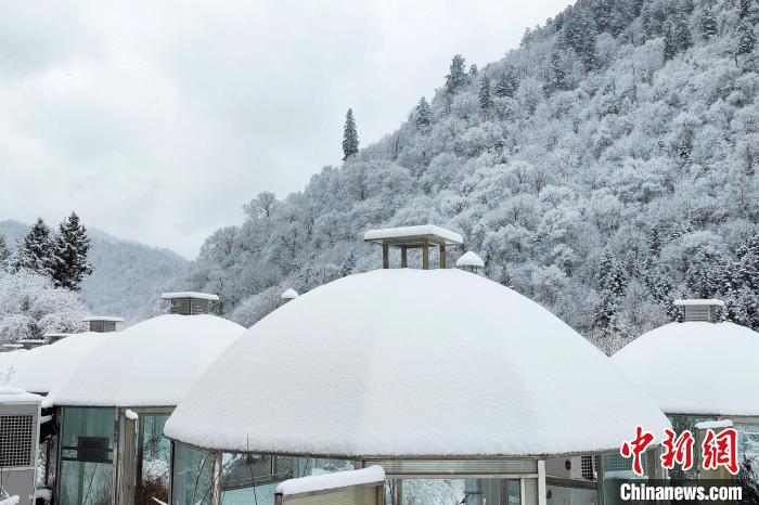 大熊貓國家公園王朗片區(qū)春雪如畫，宛若仙境?！×_春平 攝