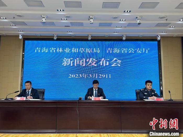 青海去年占用林地、草地準(zhǔn)予許可件同比實(shí)現(xiàn)“雙減”