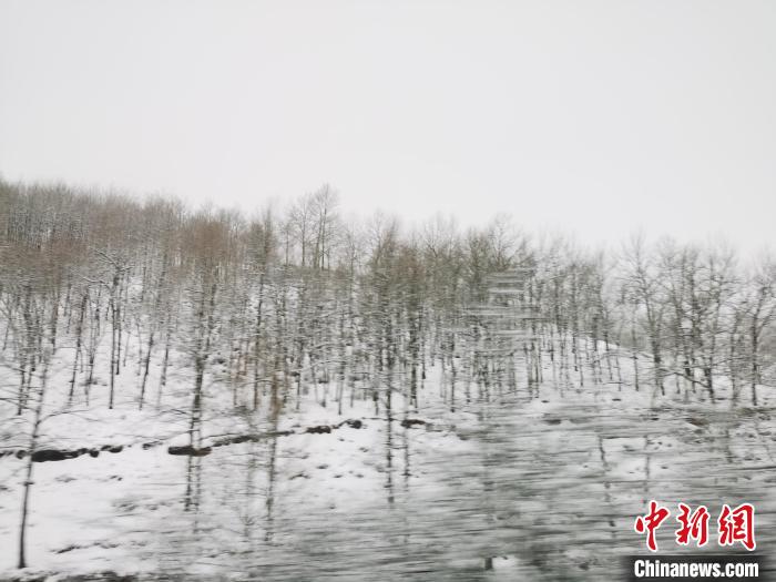圖為青海青沙山區(qū)域被降雪覆蓋。　張?zhí)砀?攝