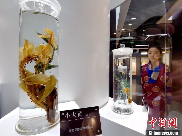 青海中藏醫(yī)藥發(fā)展提速：建設(shè)一批重點(diǎn)?？茖W(xué)科，推廣一批適宜技術(shù)