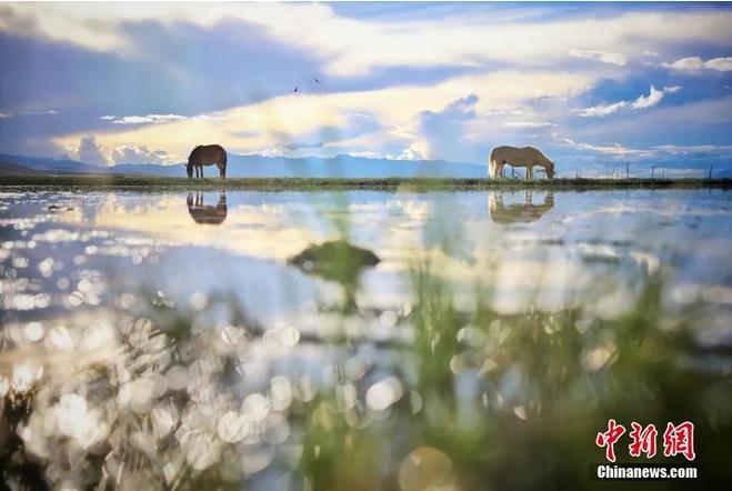 資料圖：那曲市申扎縣境內(nèi)的濕地。李雪峰 攝