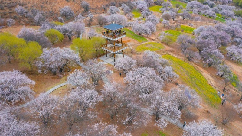 林芝嘎拉村。 張靜攝