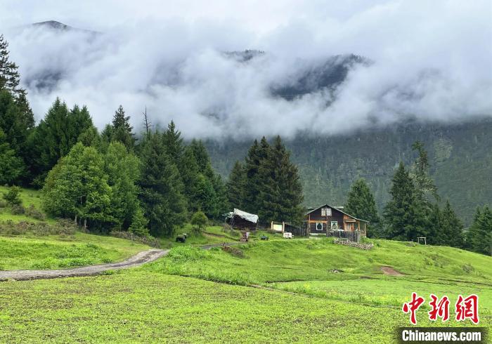 6月10日，魯朗小鎮(zhèn)高山牧場(chǎng)景區(qū)風(fēng)光?！∪轿木?攝