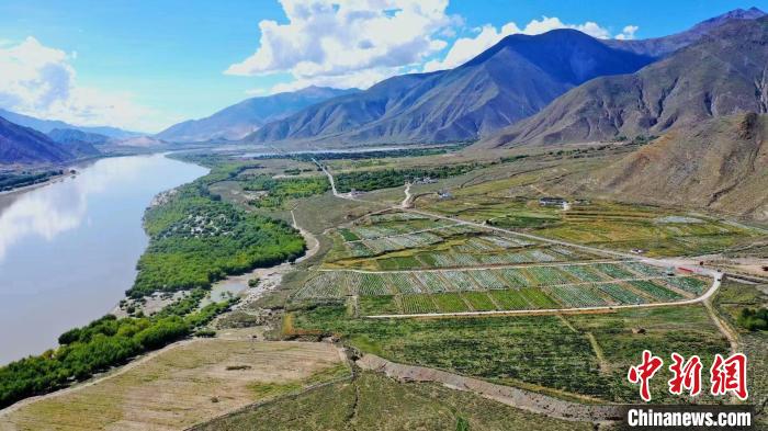 圖為桑日縣葡萄種植基地。　山南桑日縣委宣傳部提供