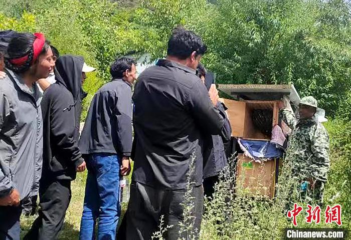拉久西村村民學(xué)習(xí)養(yǎng)蜂工作流程和防范事項?！〔际忻⒖悼h委宣傳部供圖