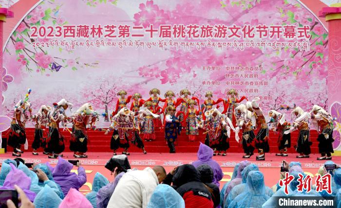 3月28日，西藏林芝第二十屆桃花旅游文化節(jié)開幕式上的文藝表演?！±盍?攝