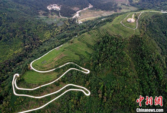 圖為西藏林芝市墨脫縣背崩鄉(xiāng)格林村山頂?shù)木坝^茶園。(無人機(jī)照片) 李林 攝