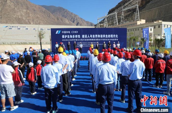 圖為蘇洼龍水電站魚類放流現(xiàn)場?！√K洼龍水電站供圖