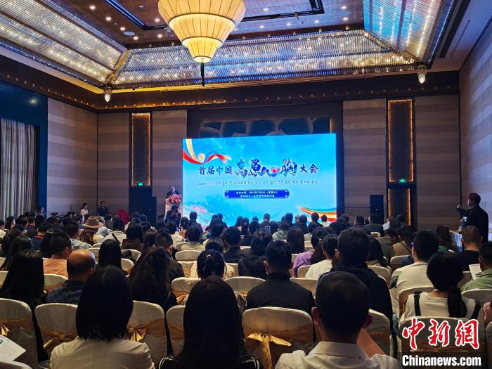 圖為首屆中國高原心胸大會現(xiàn)場?！☆D旦旺姆 攝