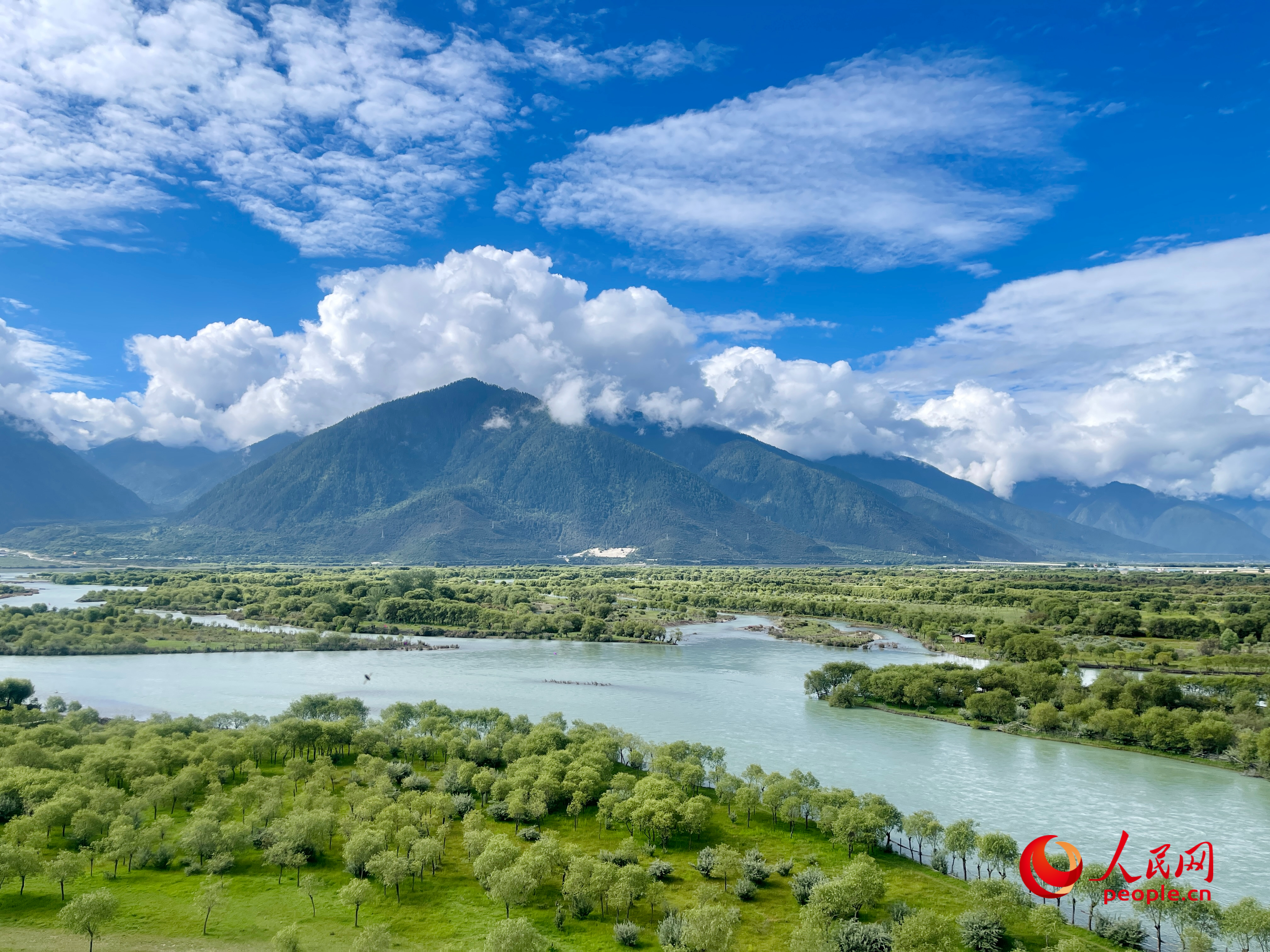夏日的雅尼國(guó)家濕地公園生機(jī)盎然，如詩(shī)如畫。人民網(wǎng) 周靜圓攝