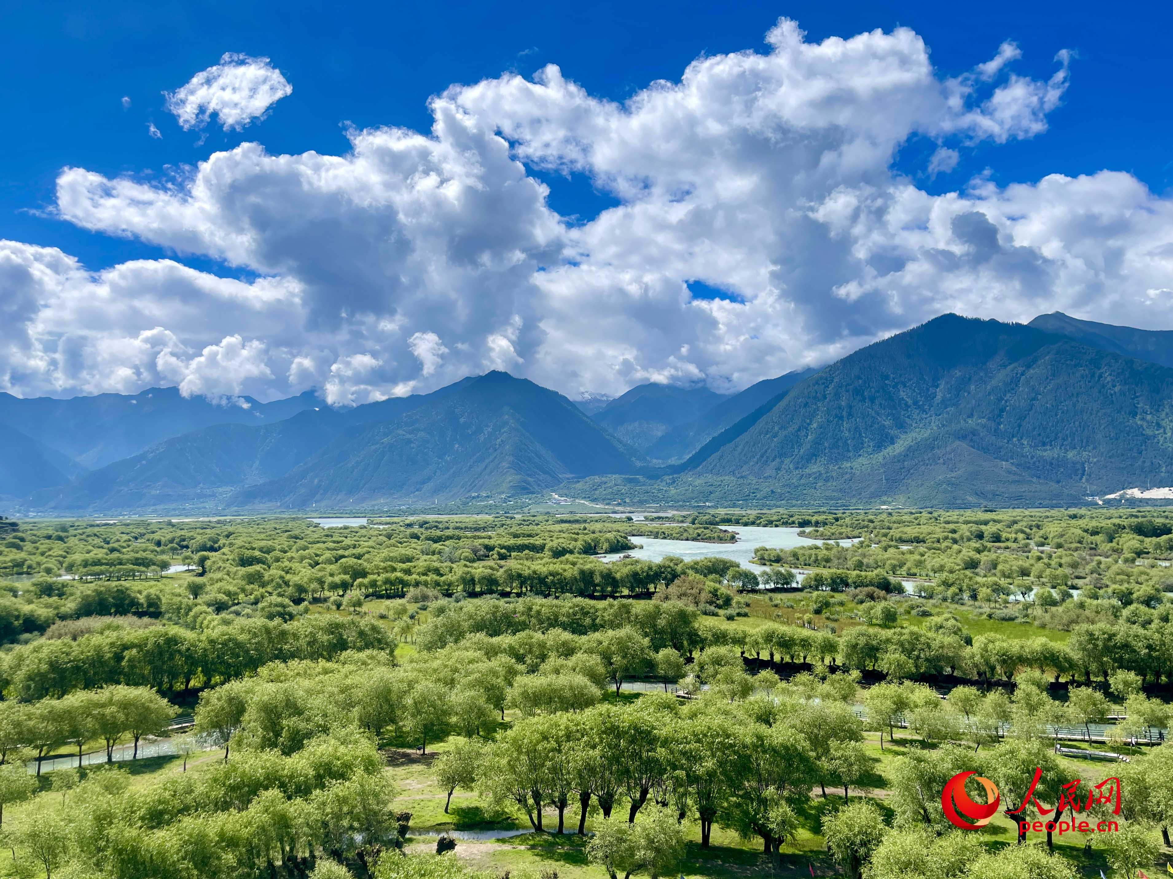 夏日的雅尼國(guó)家濕地公園生機(jī)盎然，如詩(shī)如畫。人民網(wǎng) 周靜圓攝