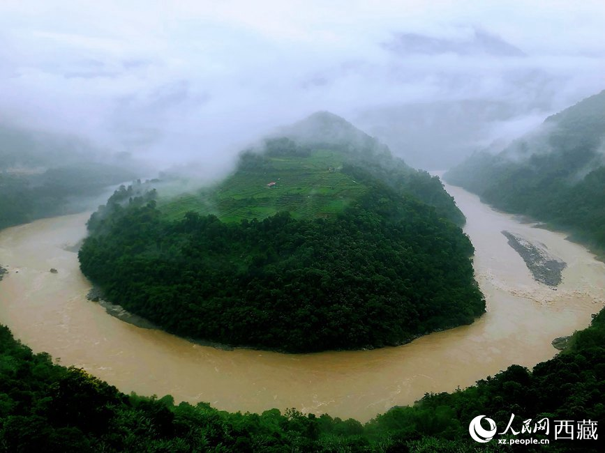 雅魯藏布江大峽谷蛇形拐彎處，山坡上種滿茶樹(shù)。