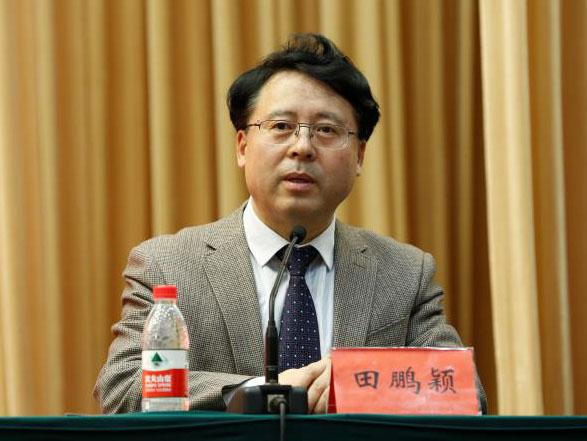 田鵬穎：投入其中、樂(lè)在其中、安身其中
